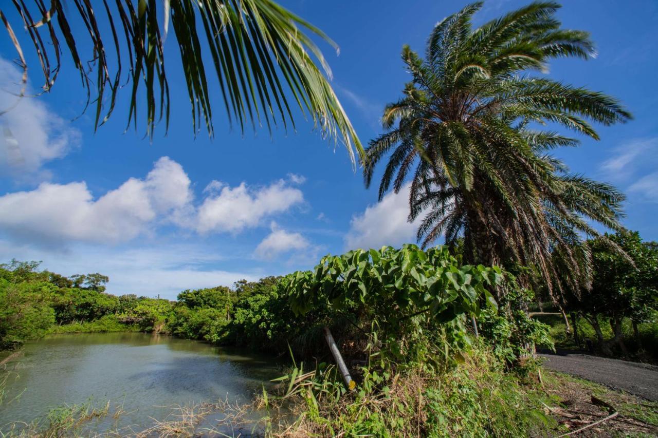 Toptai Homestay Kenting Kültér fotó